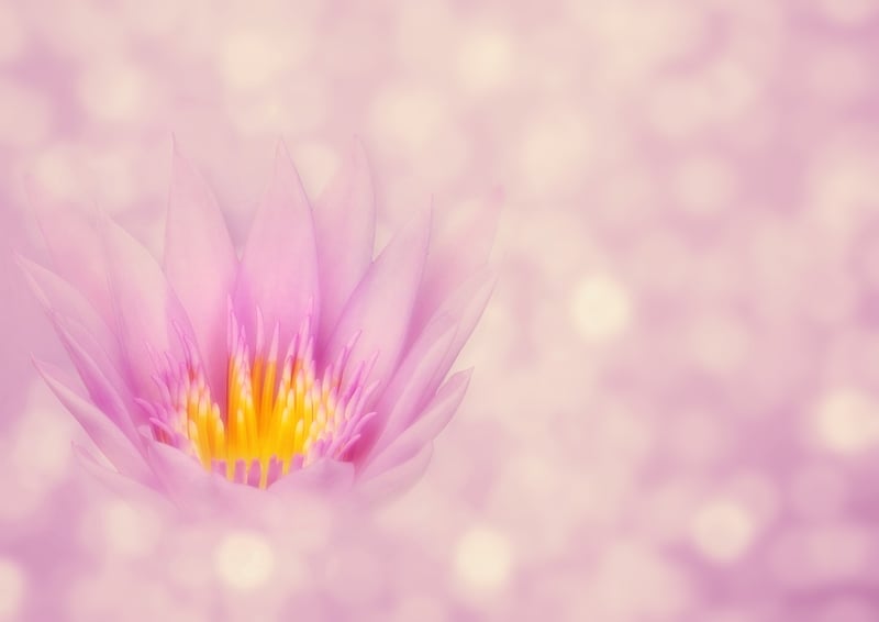 Zen Meditation Spaces
